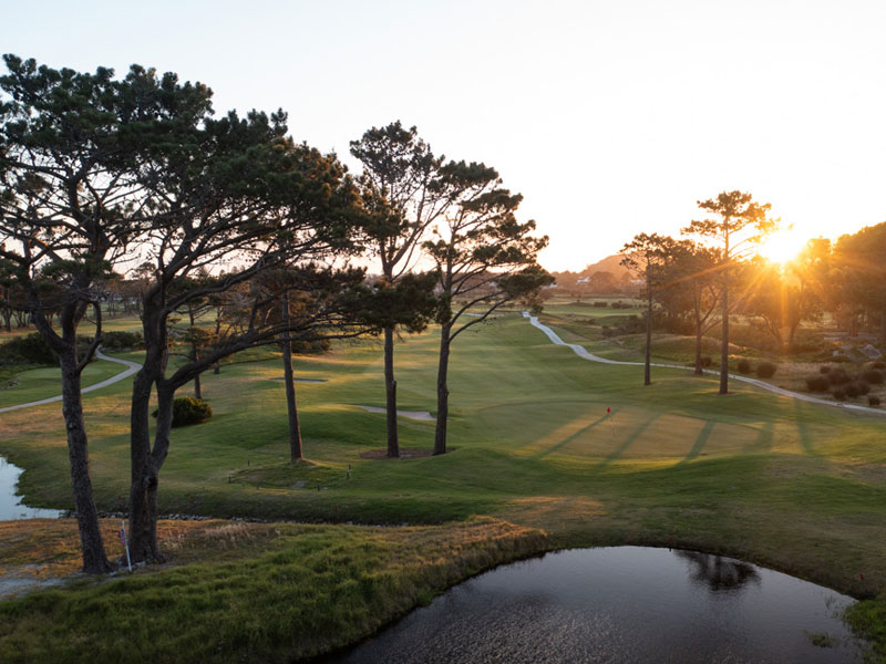 Wetlands-of-hermanus